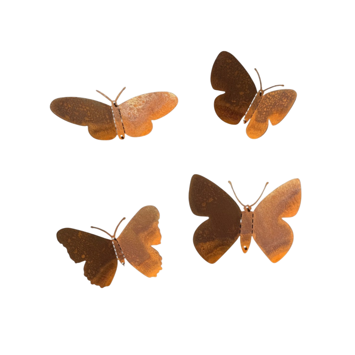 Tuinvorm BUTTERMINIS