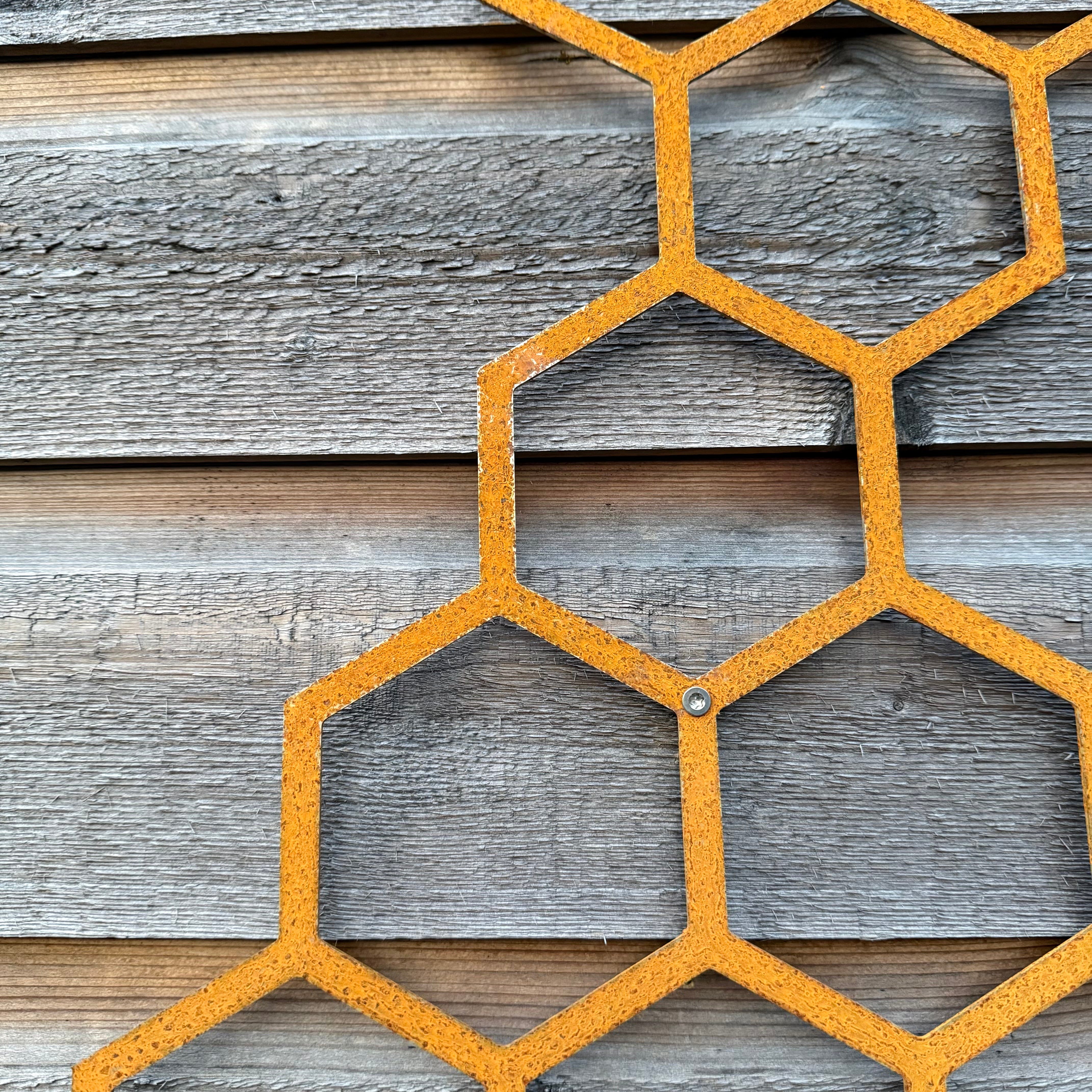 Wanddecoratie HIVE van cortenstaal met 11 hexagons – voor buiten