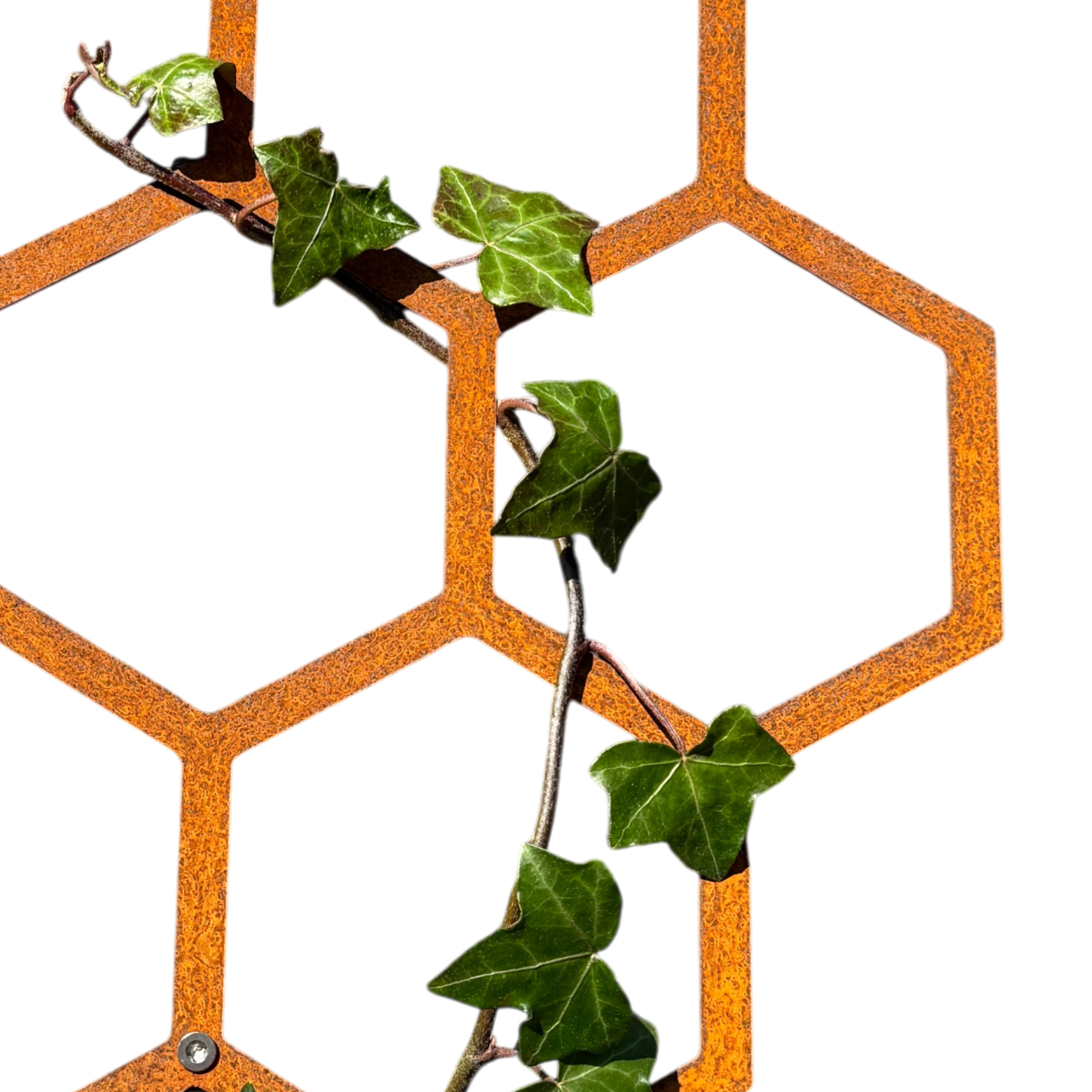 Klimplantrek HEXA van cortenstaal met hexagon motief voor klimplanten aan de buitenmuur