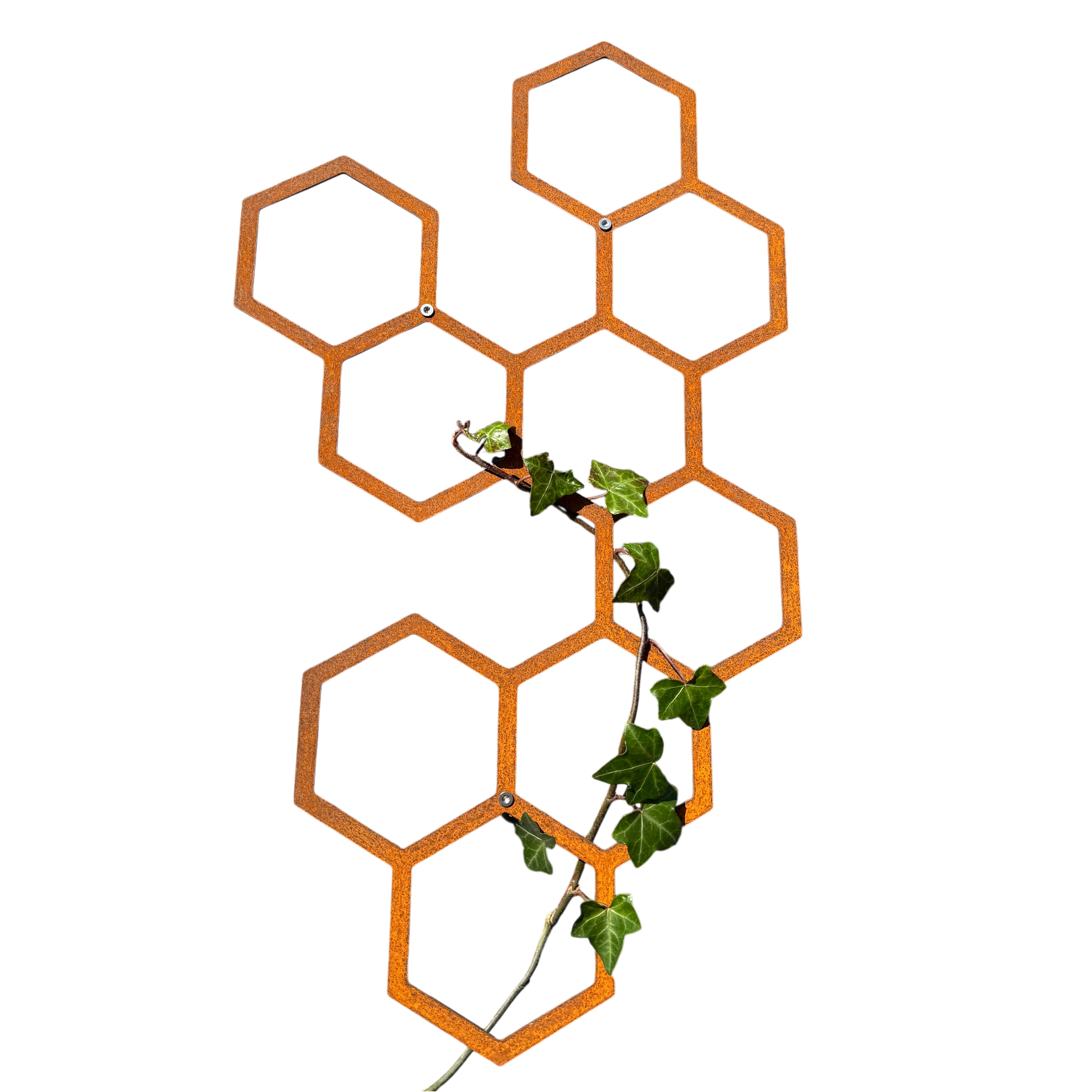 Klimplantrek HEXA van cortenstaal met hexagon motief voor klimplanten aan de buitenmuur
