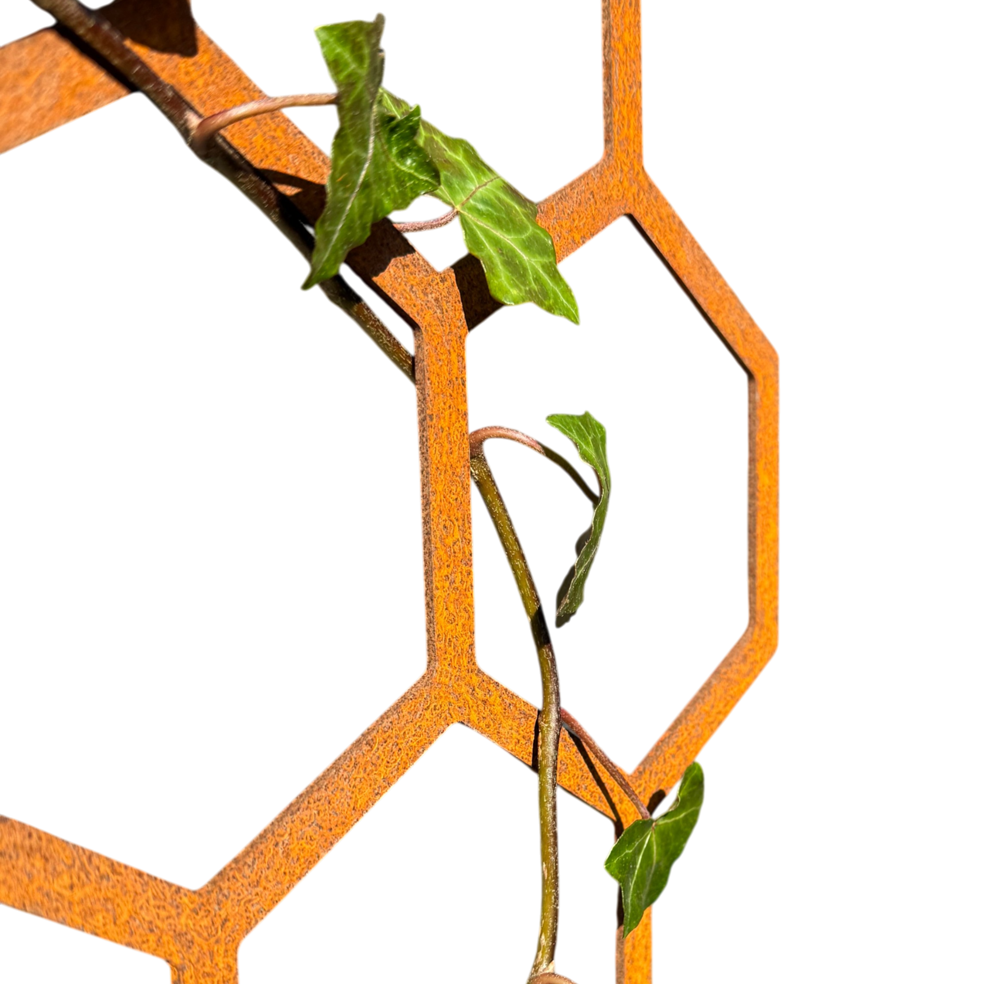 Klimplantrek HEXA van cortenstaal met hexagon motief voor klimplanten aan de buitenmuur