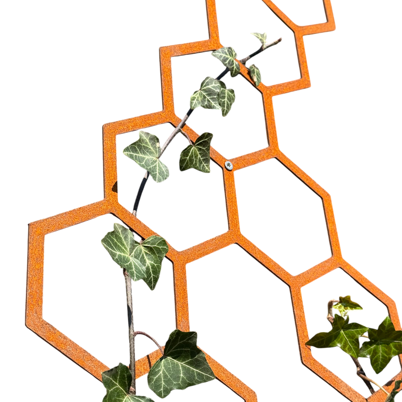 Klimplantrek HIVE van cortenstaal met hexagon motief voor klimplanten aan de buitenmuur