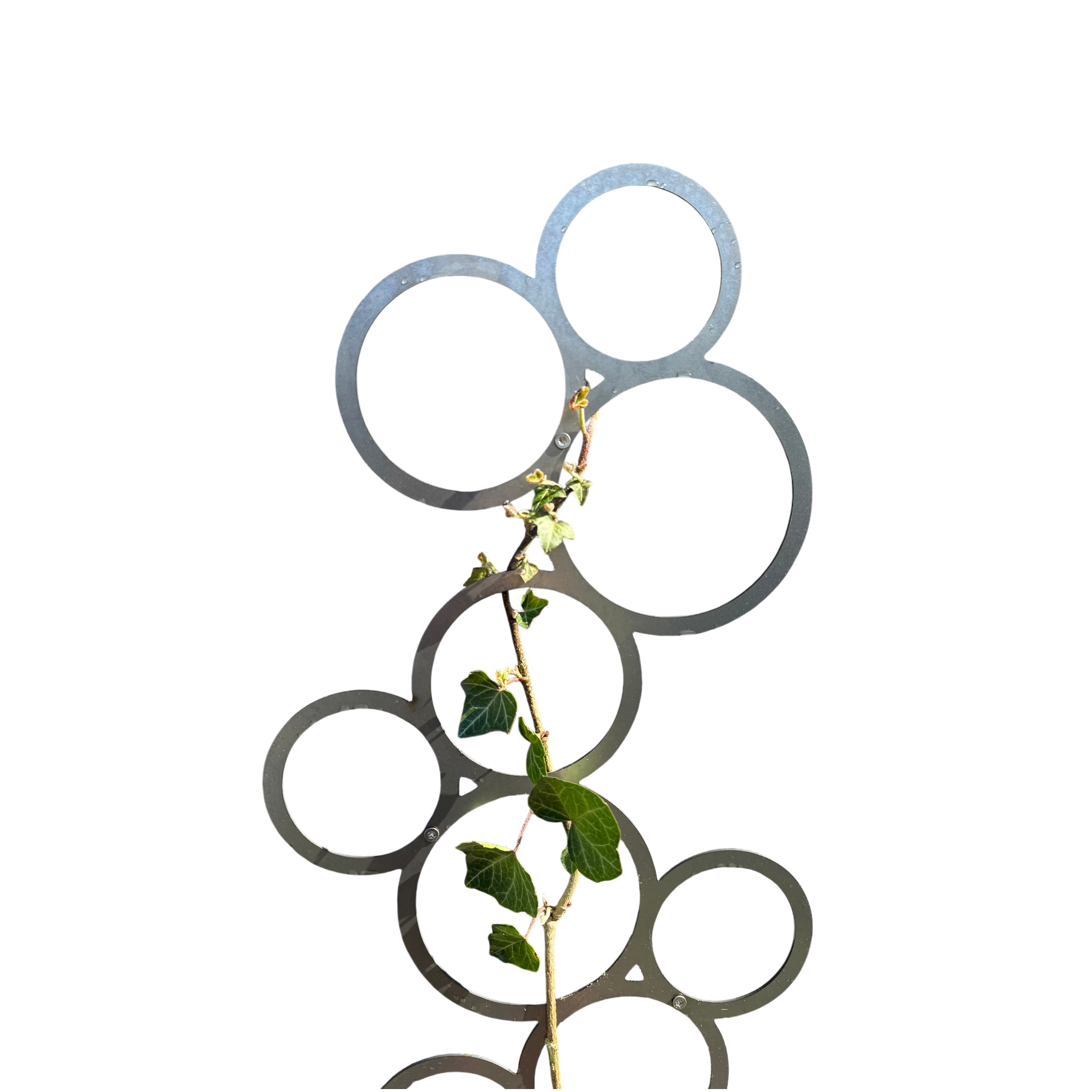 Klimplantrek BUBBLE van cortenstaal met rondjes motief voor klimplanten aan de buitenmuur