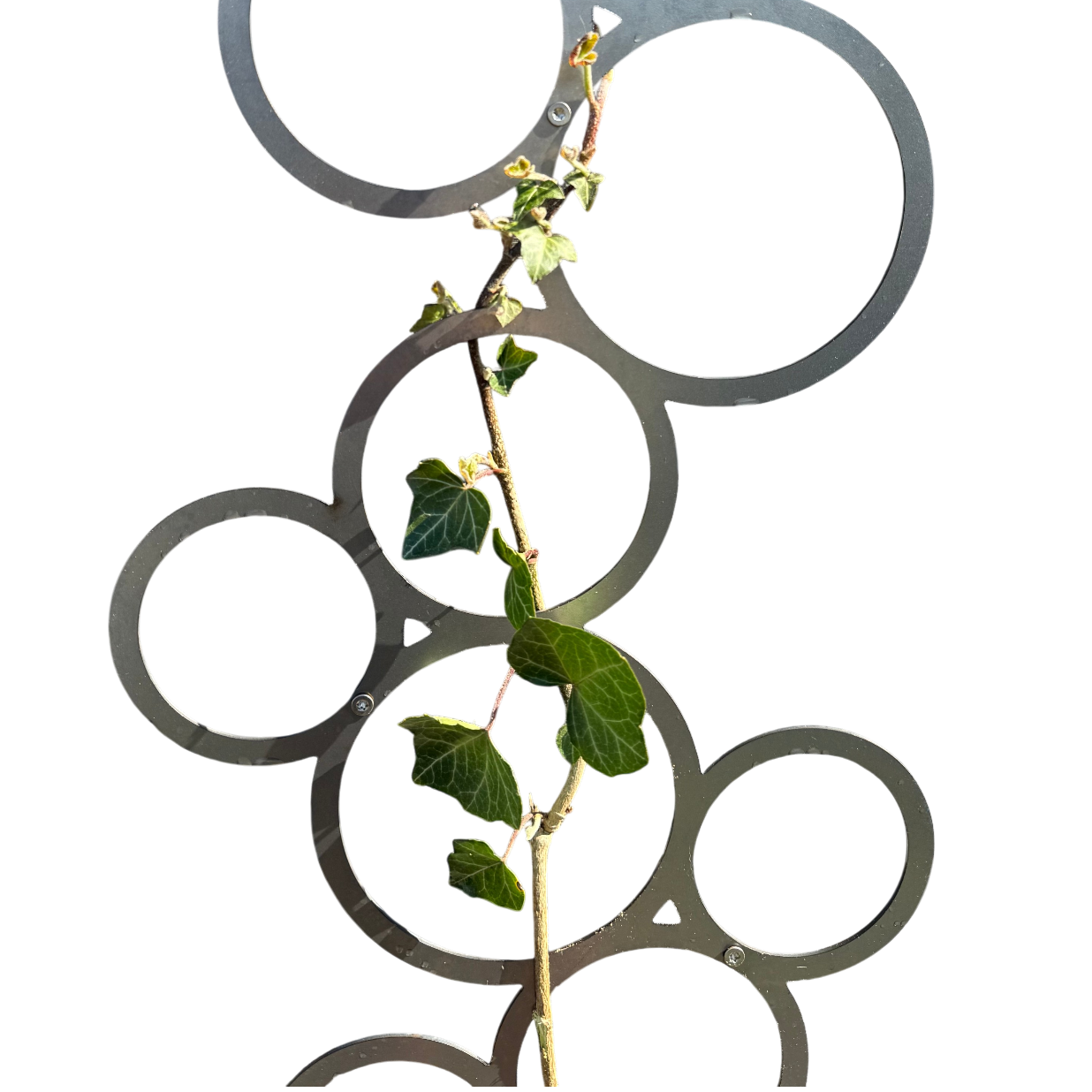 Klimplantrek BUBBLE van cortenstaal met rondjes motief voor klimplanten aan de buitenmuur