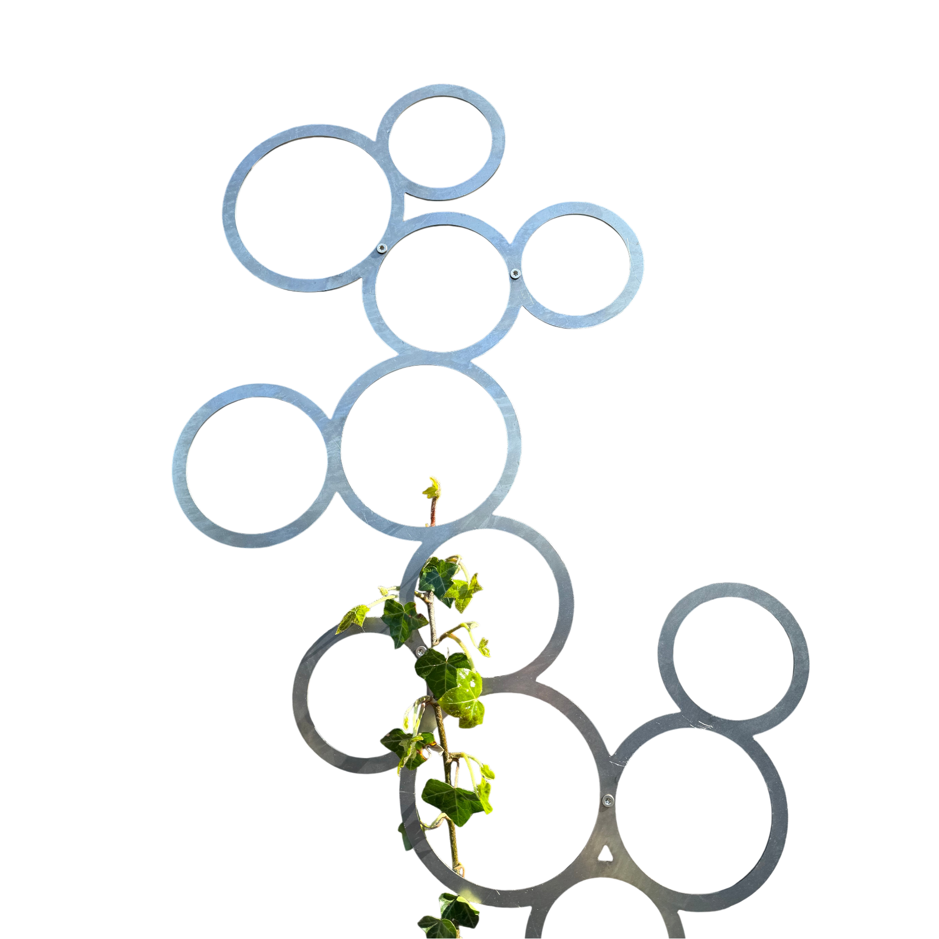 Klimplantrek RING van cortenstaal met rondjes motief voor klimplanten aan de buitenmuur