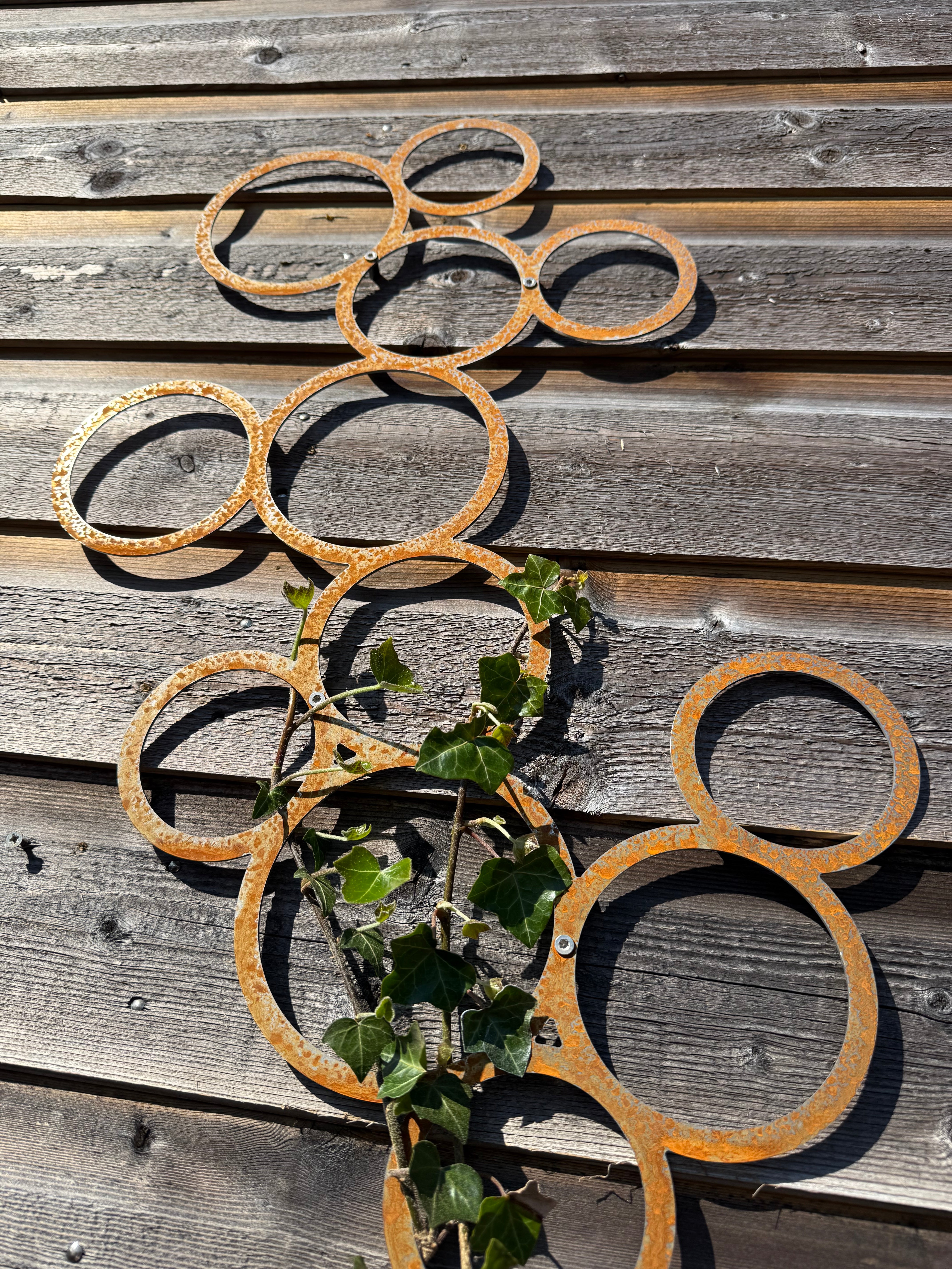 Klimplantrek RING van cortenstaal met rondjes motief voor klimplanten aan de buitenmuur