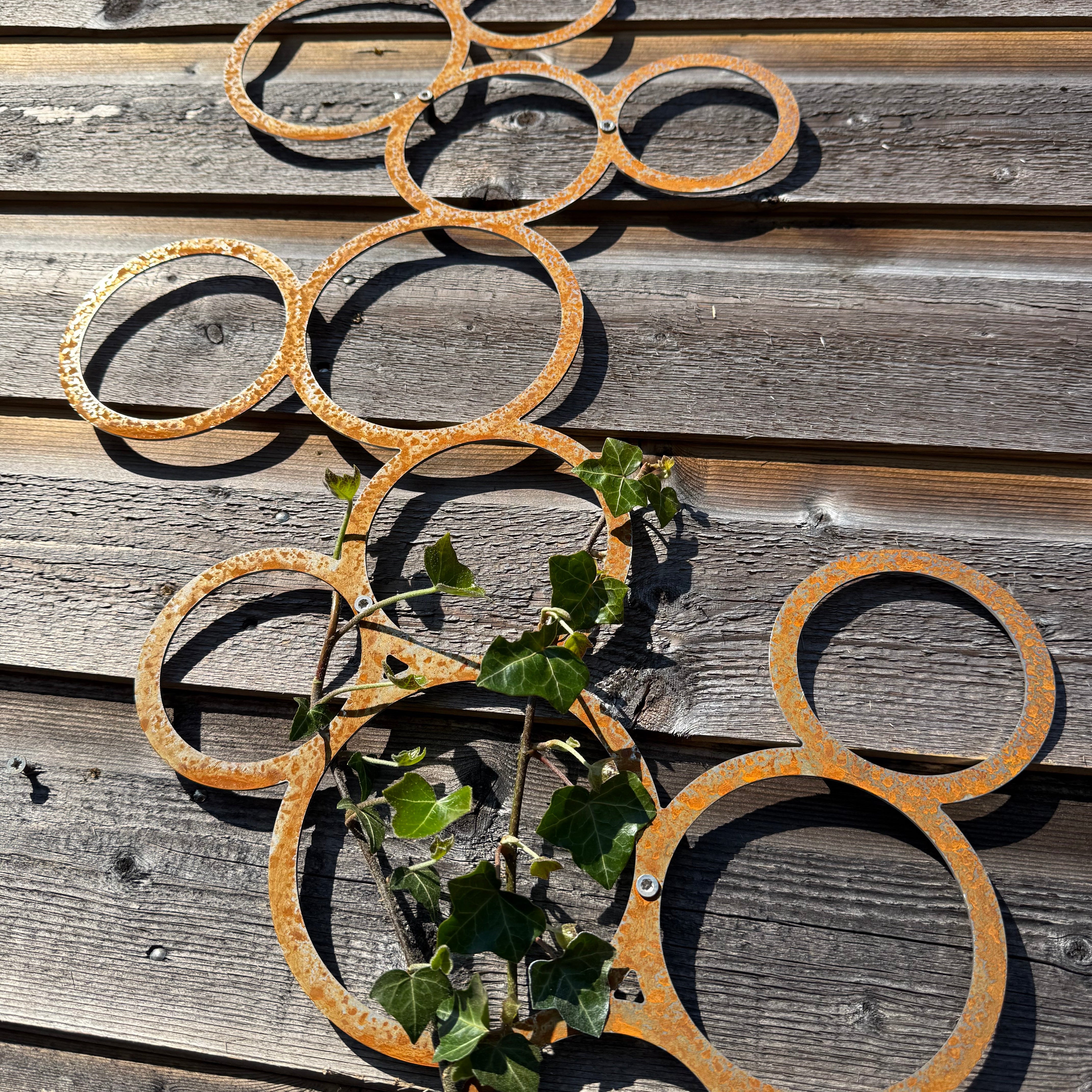 Klimplantrek RING van cortenstaal met rondjes motief voor klimplanten aan de buitenmuur