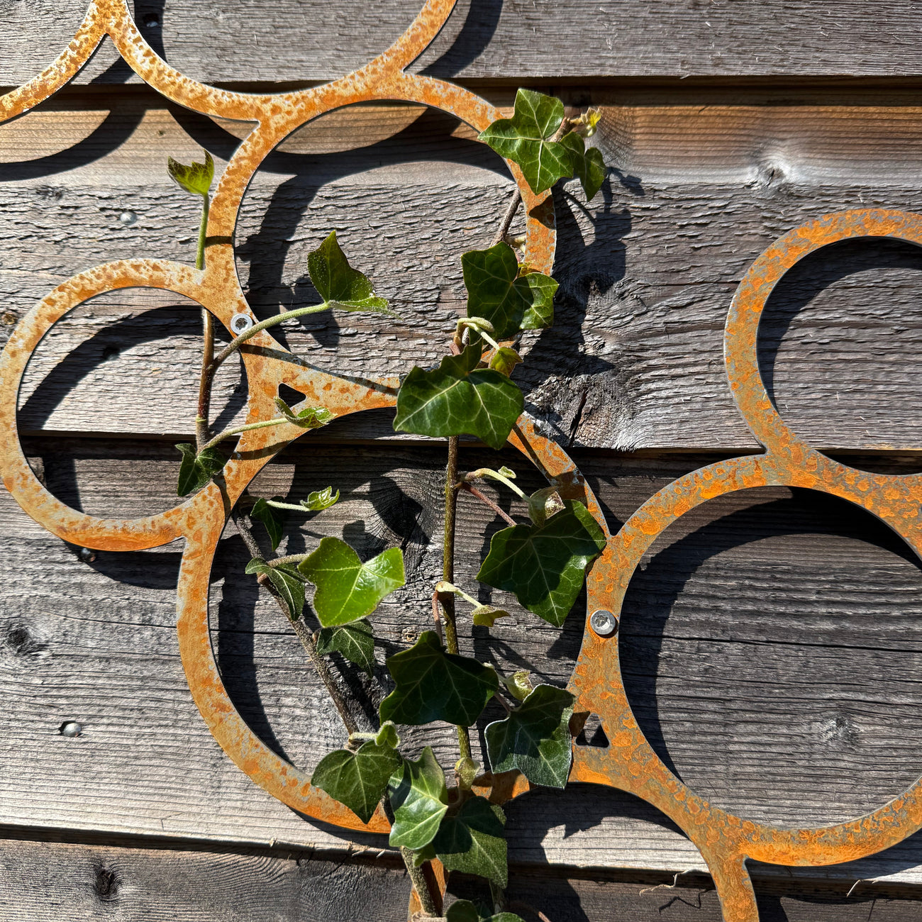 Klimplantrek RING van cortenstaal met rondjes motief voor klimplanten aan de buitenmuur
