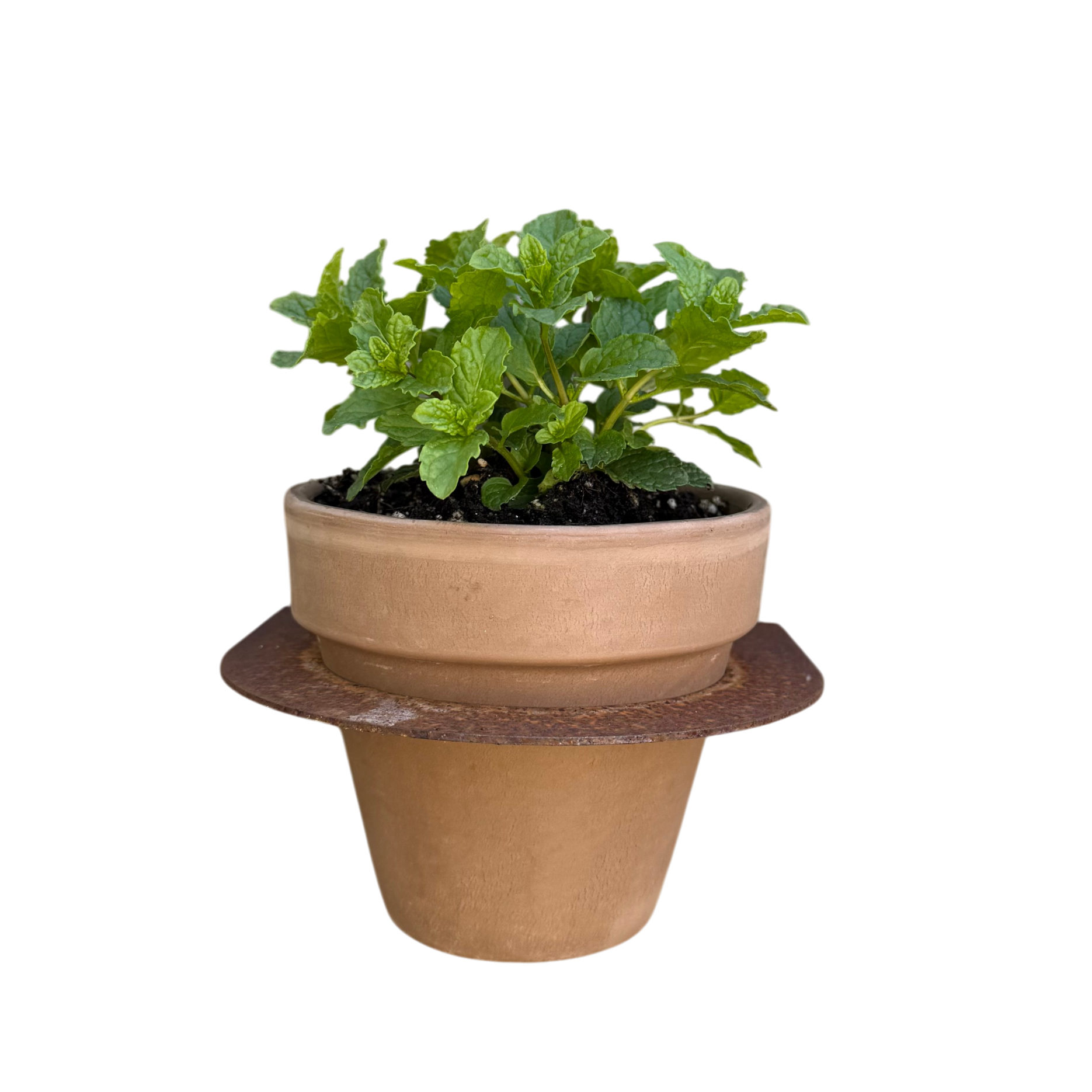 Bloempot MURO
