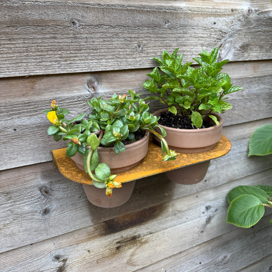 Bloempot ROOT