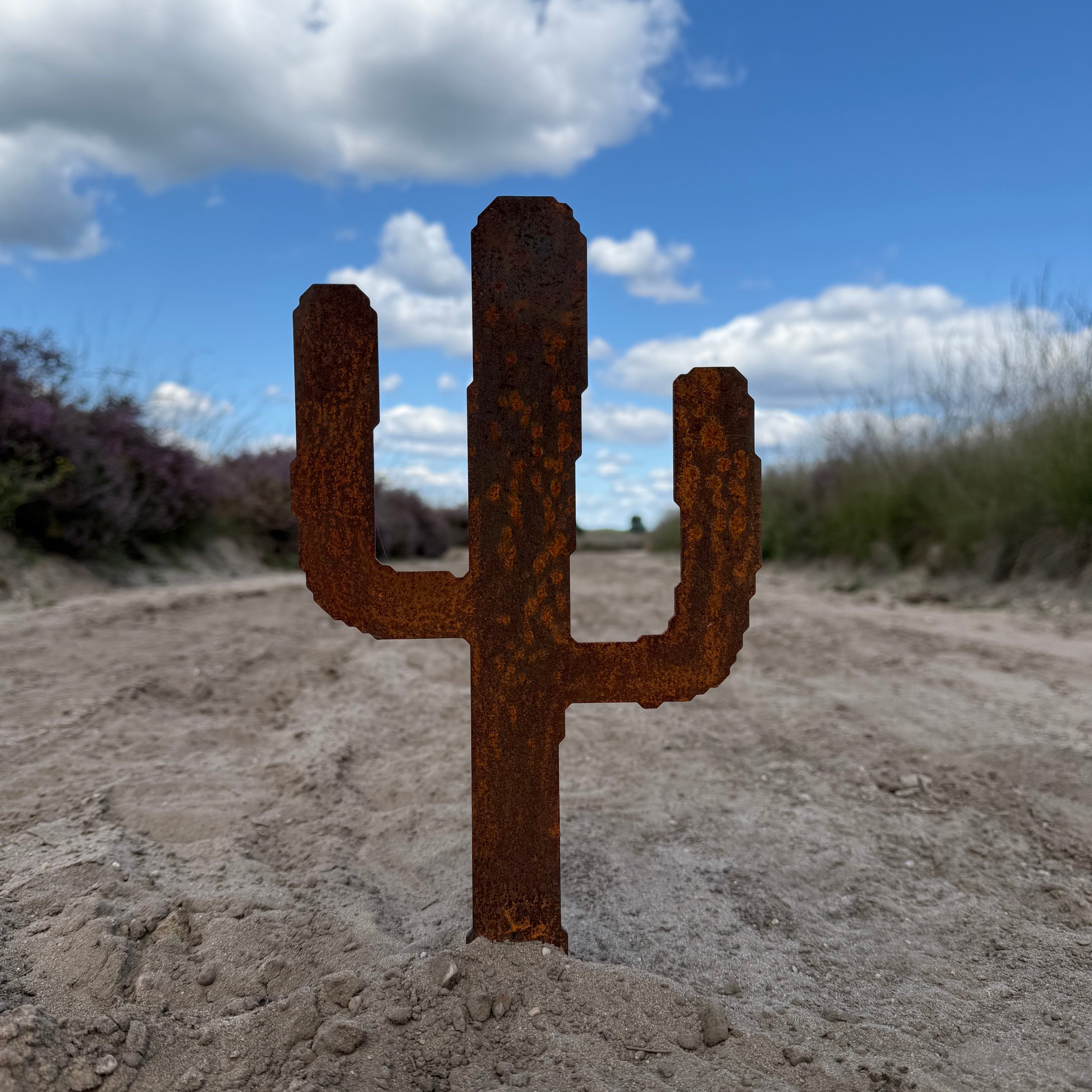 Tuinsteker CACCTUSS – cortenstalen plant cactus voor in de tuin