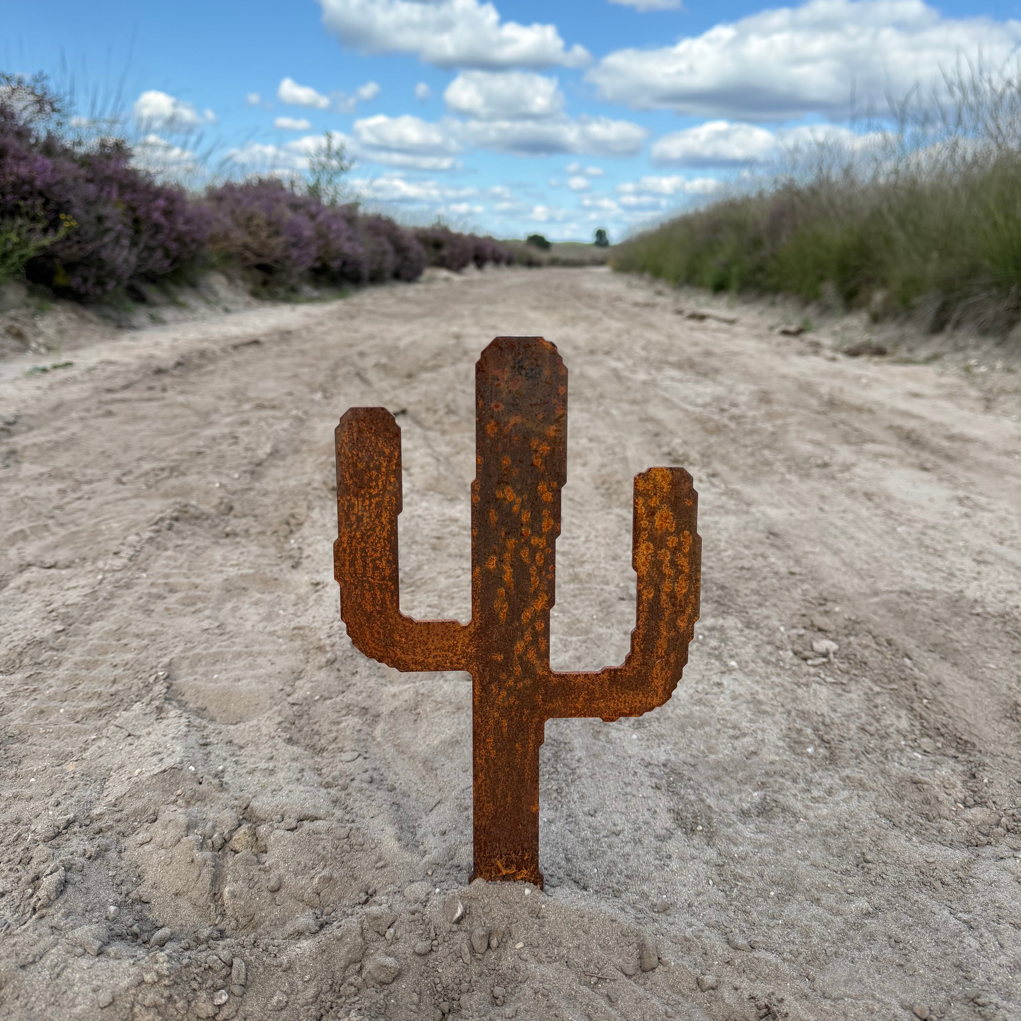 Tuinsteker CACCTUSS – cortenstalen plant cactus voor in de tuin