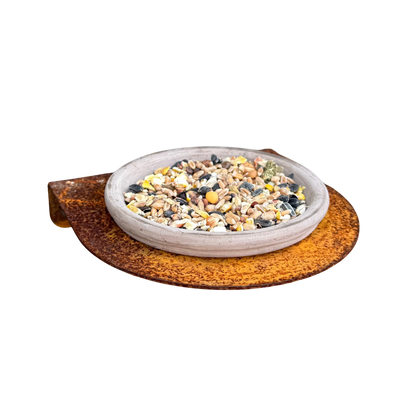 Vogelvoederschaal OASIS – wandmodel met terracotta drinkbakje