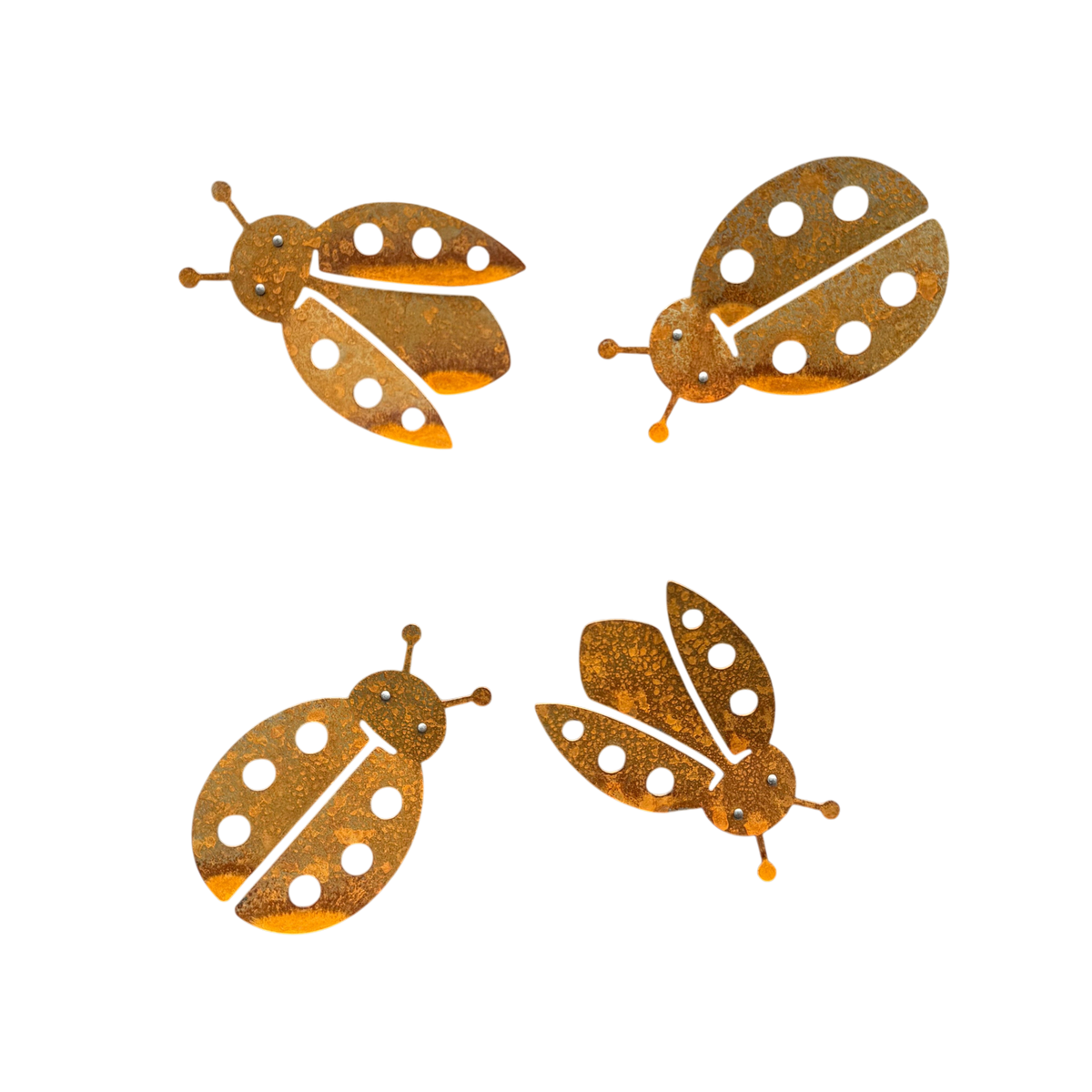 Cortenstalen lieveheersbeestjes LADYBIRD met decoratief 3D-effect