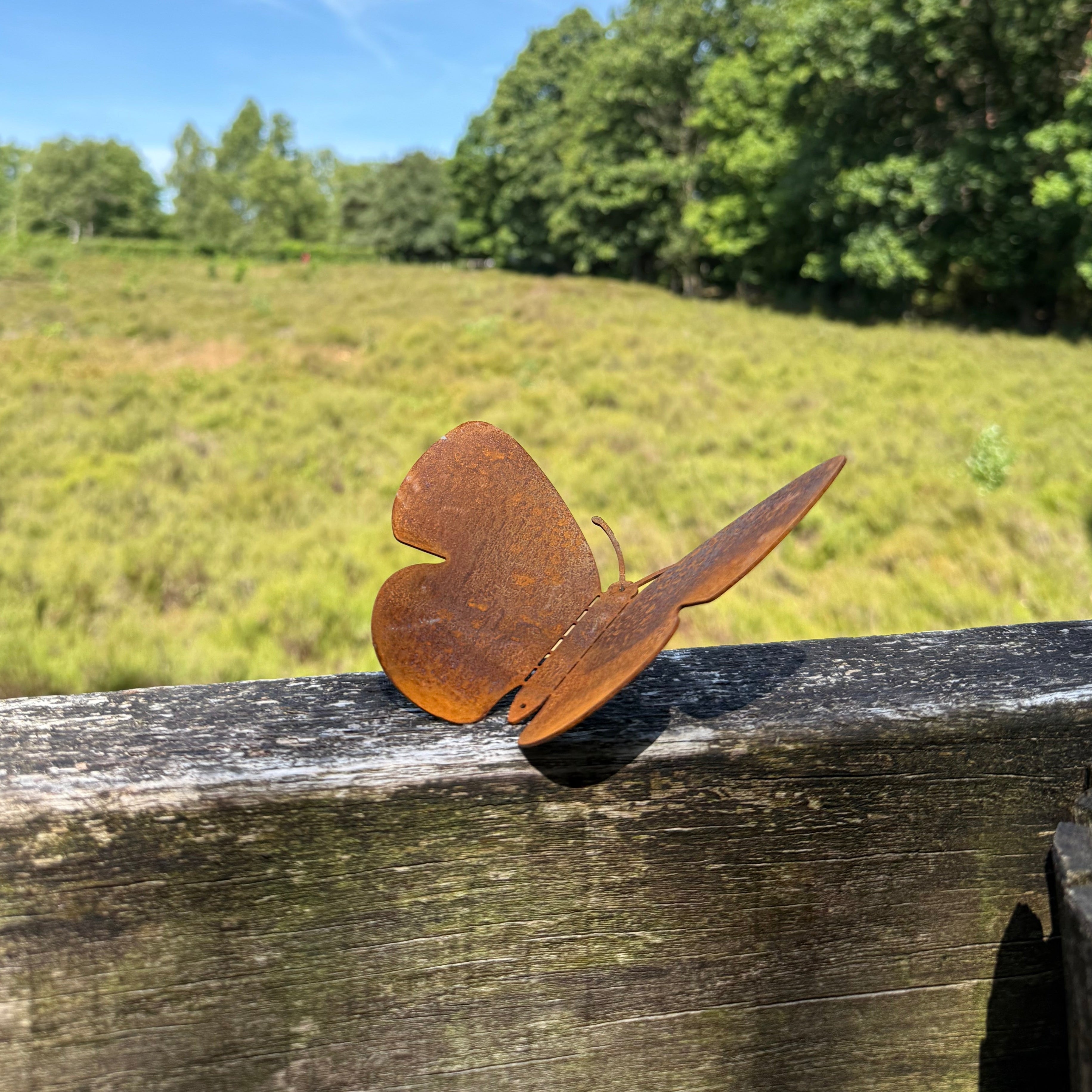 Tuinvorm BUTTERFLIES van cortenstaal | Design buitenruimte