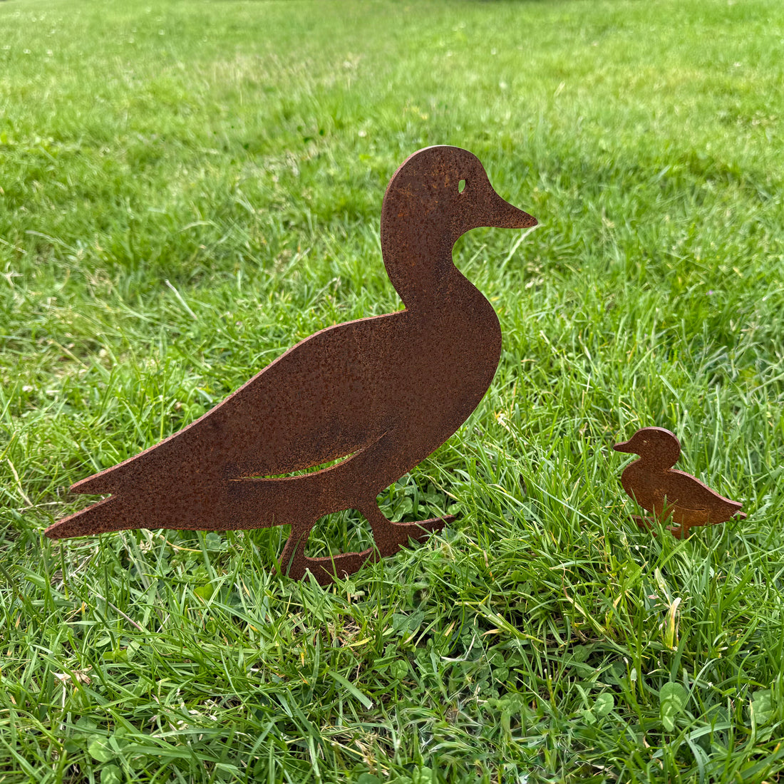Tuinsteker QUACKFAM