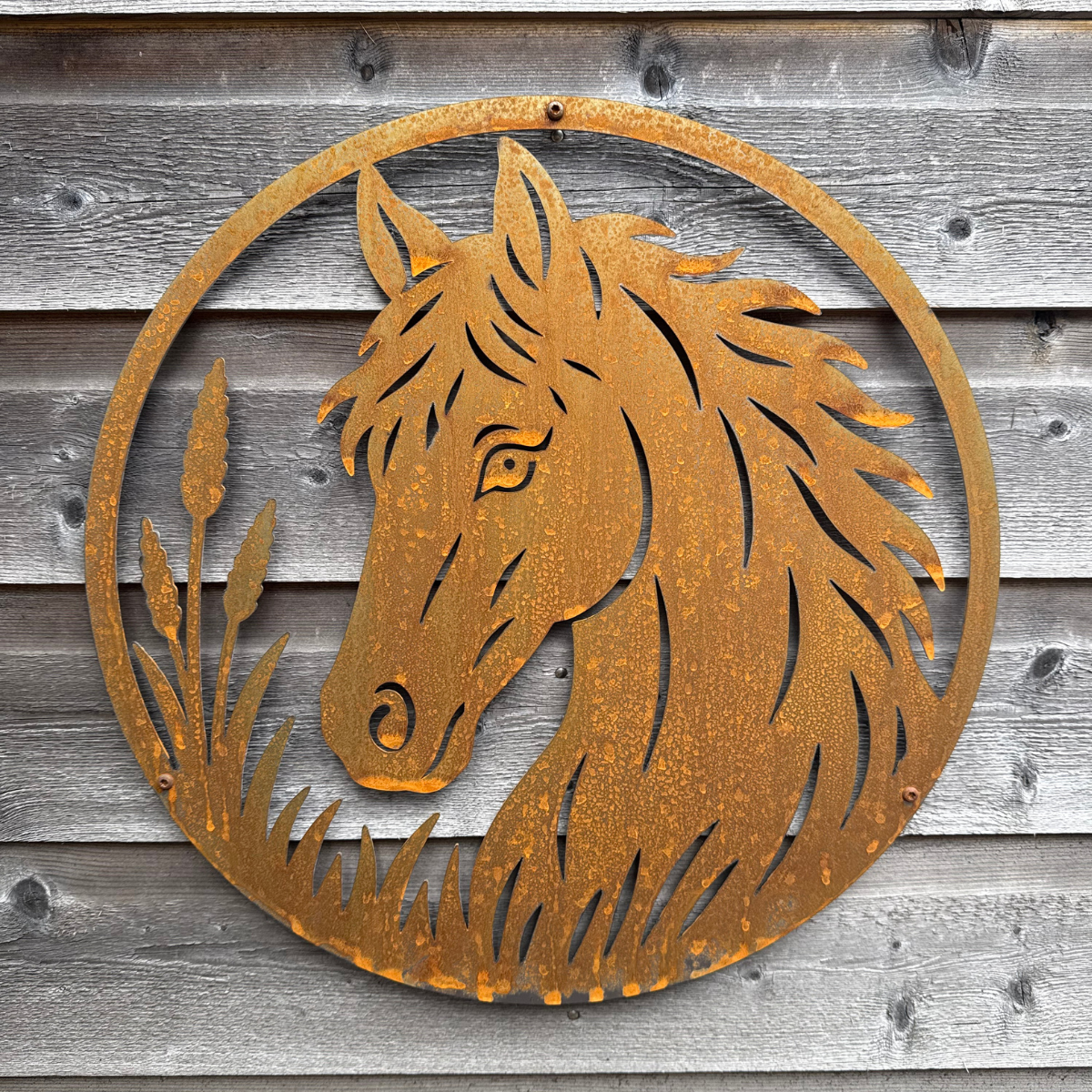 Wanddecoratie HORSE van cortenstaal met paard, ronde wanddecoratie Ø 450 mm voor gevel, tuinmuur of schutting