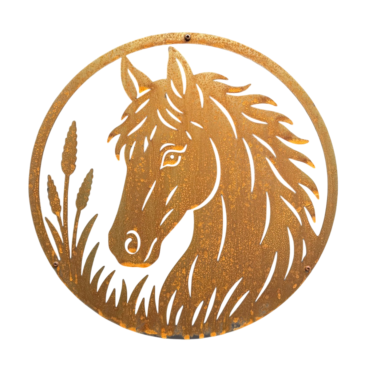 Wanddecoratie HORSE van cortenstaal met paard, ronde wanddecoratie Ø 450 mm voor gevel, tuinmuur of schutting
