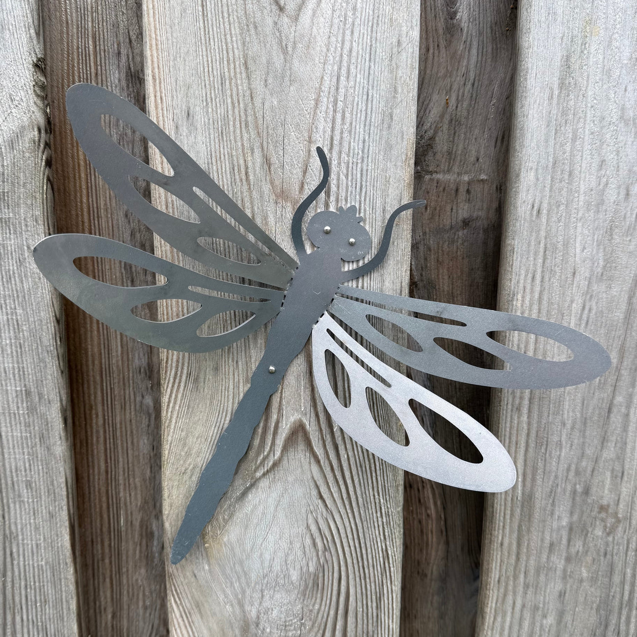 Grote cortenstalen libelle voor aan de wand, Tuinvorm DRAGONFLY van Stalen Design