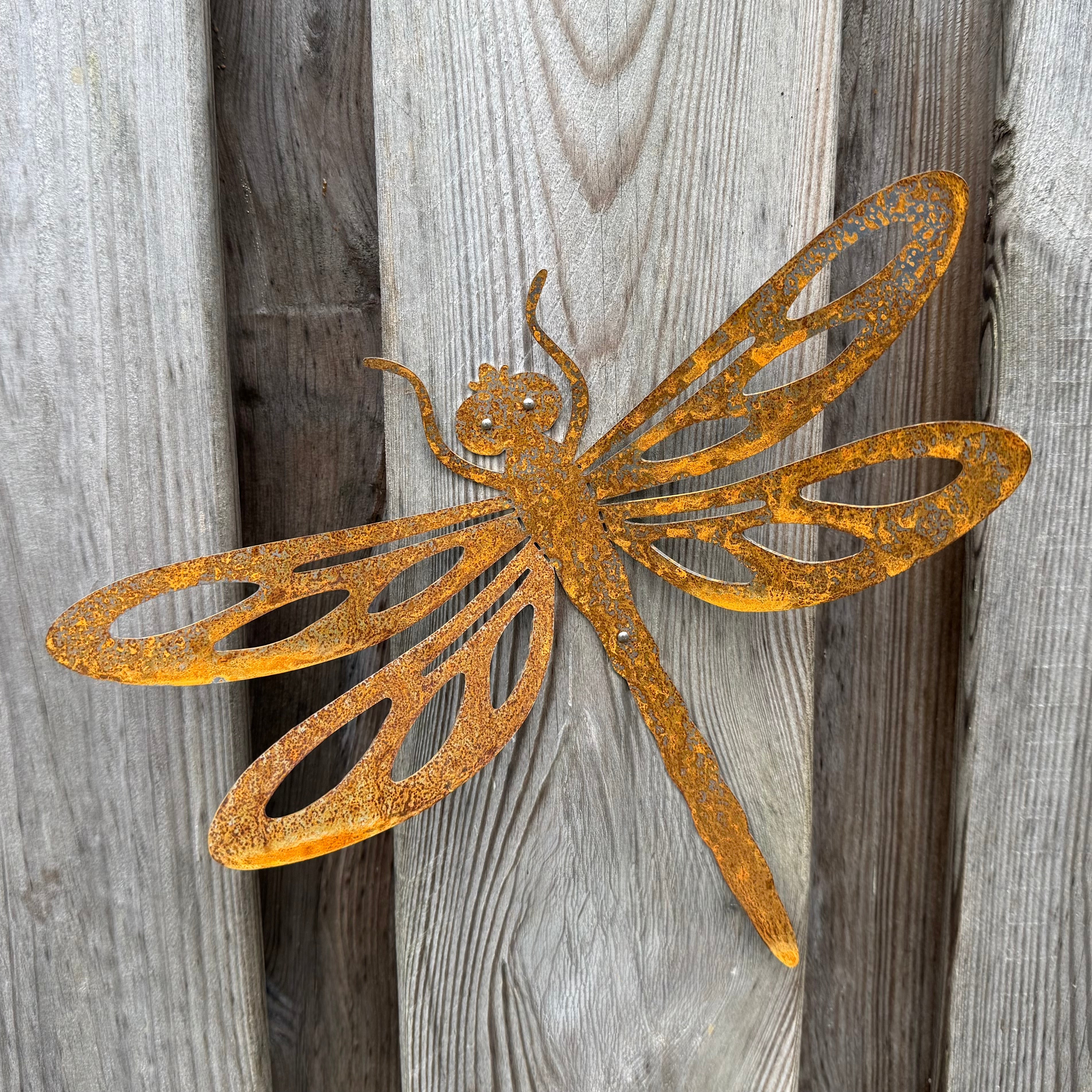 Grote cortenstalen libelle voor aan de wand, Tuinvorm DRAGONFLY van Stalen Design