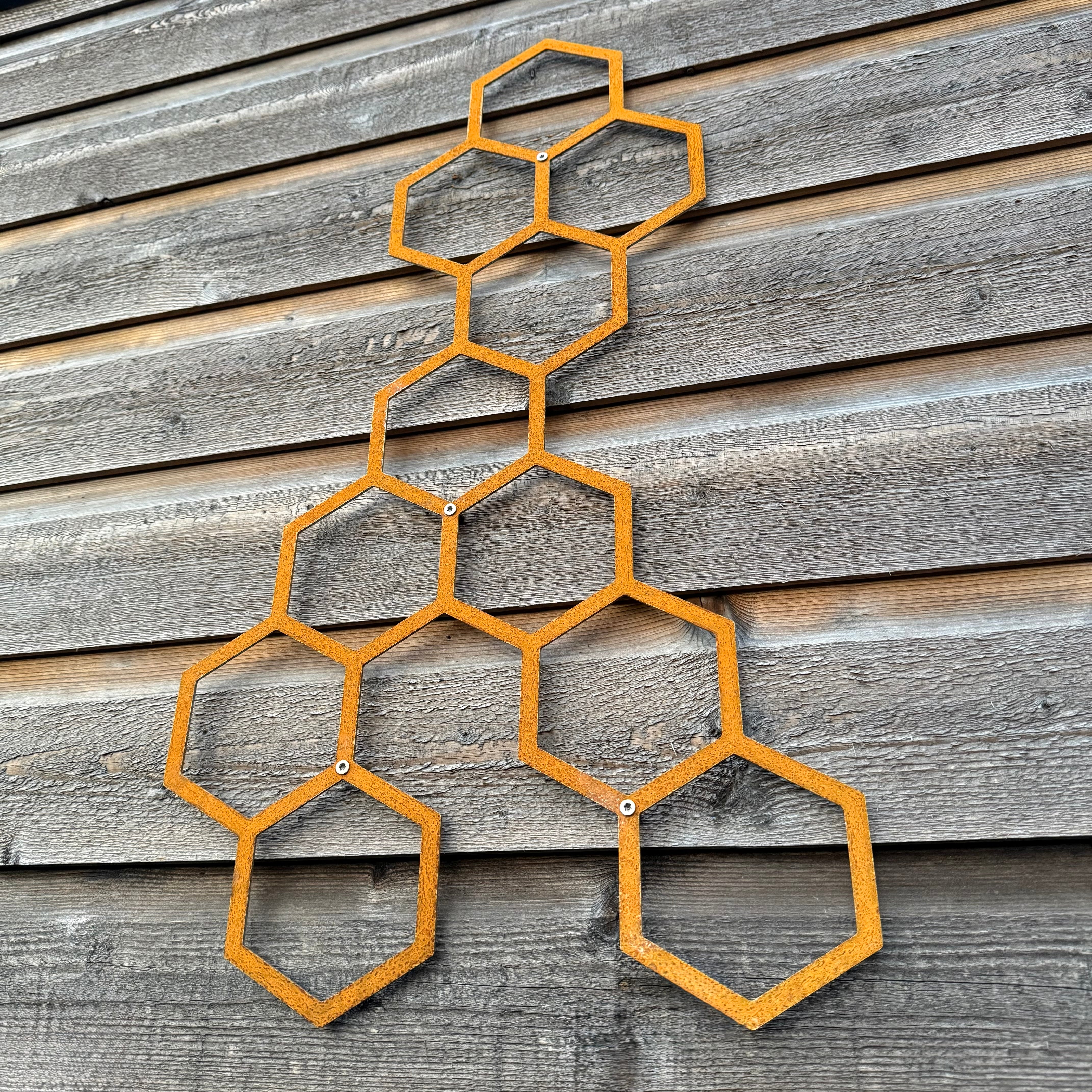 Wanddecoratie HIVE van cortenstaal met 11 hexagons – voor buiten