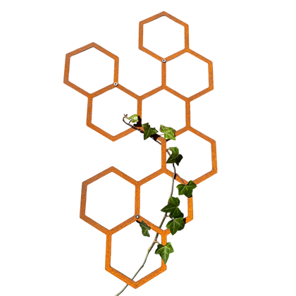 Klimplantrek HEXA van cortenstaal met hexagon motief voor klimplanten aan de buitenmuur