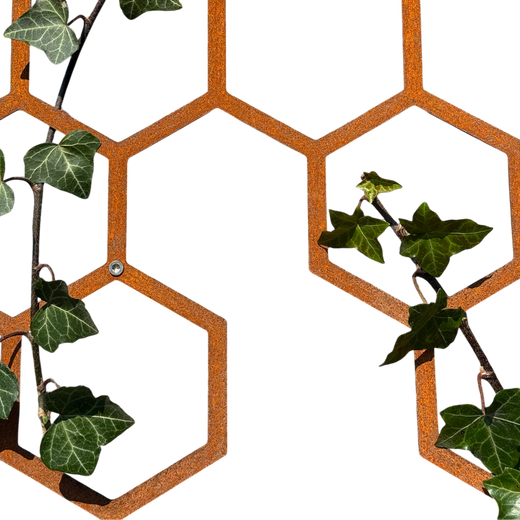 Wanddecoratie HIVE van cortenstaal met 11 hexagons – voor buiten