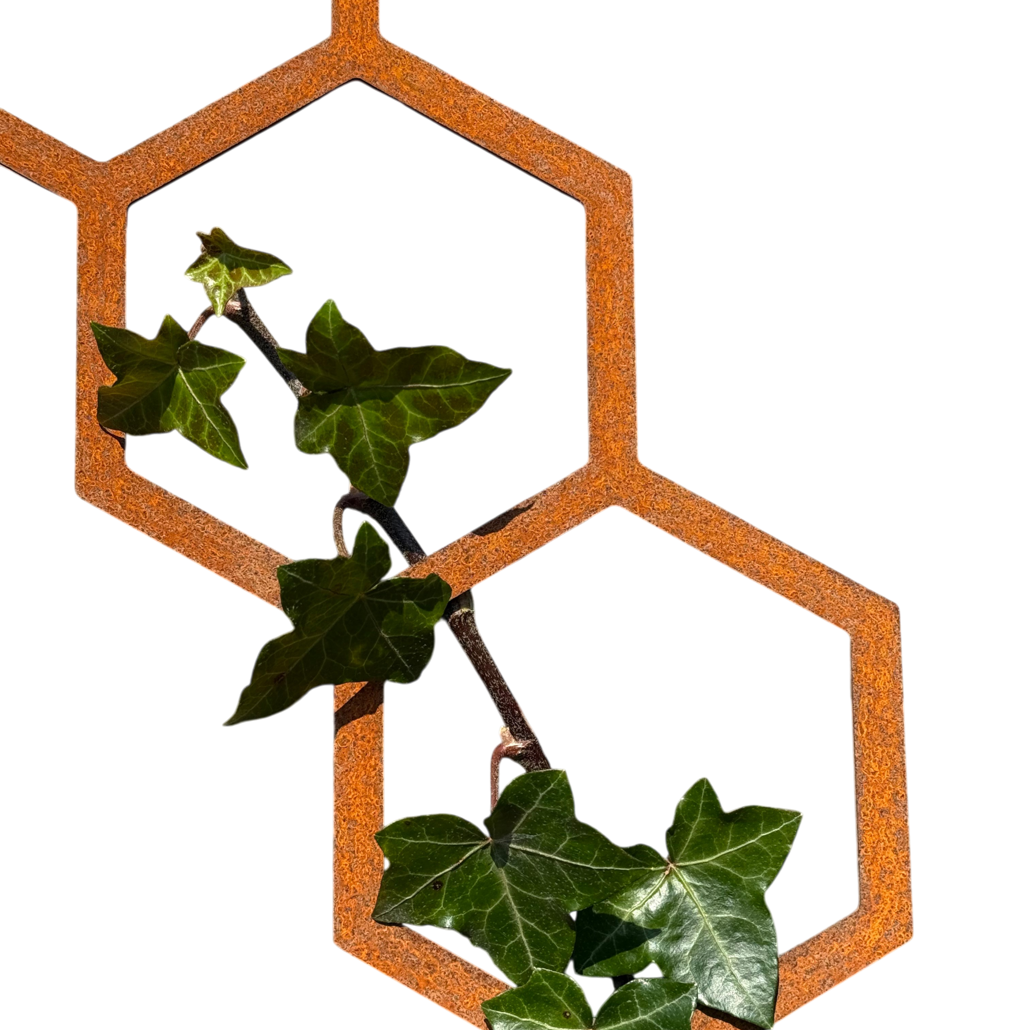 Klimplantrek HIVE van cortenstaal met hexagon motief voor klimplanten aan de buitenmuur