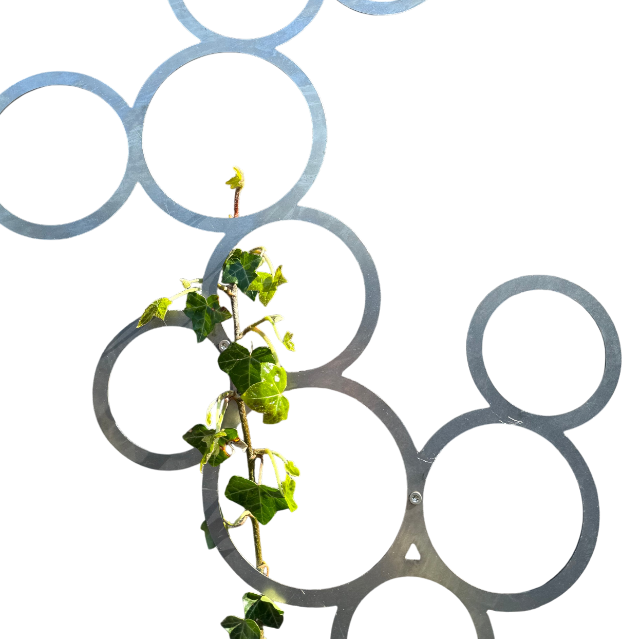 Klimplantrek RING van cortenstaal met rondjes motief voor klimplanten aan de buitenmuur