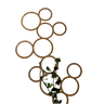 Klimplantrek RING