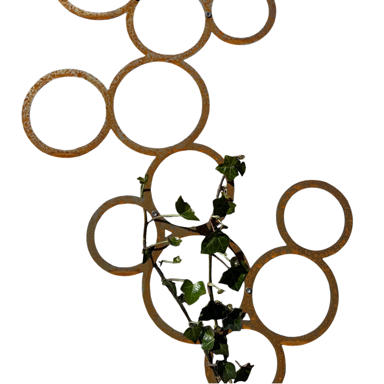 Klimplantrek RING van cortenstaal met rondjes motief voor klimplanten aan de buitenmuur