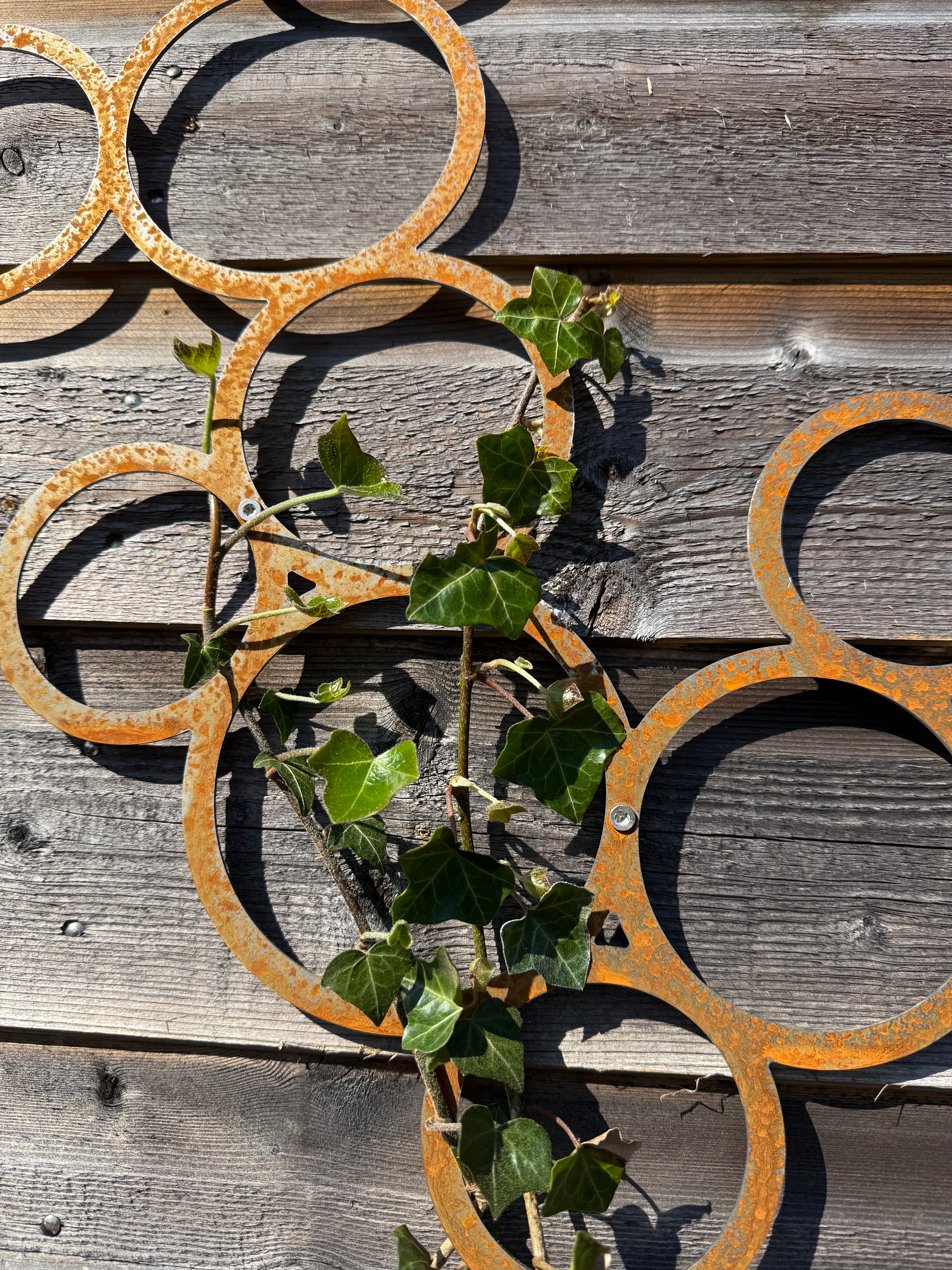 Klimplantrek RING van cortenstaal met rondjes motief voor klimplanten aan de buitenmuur