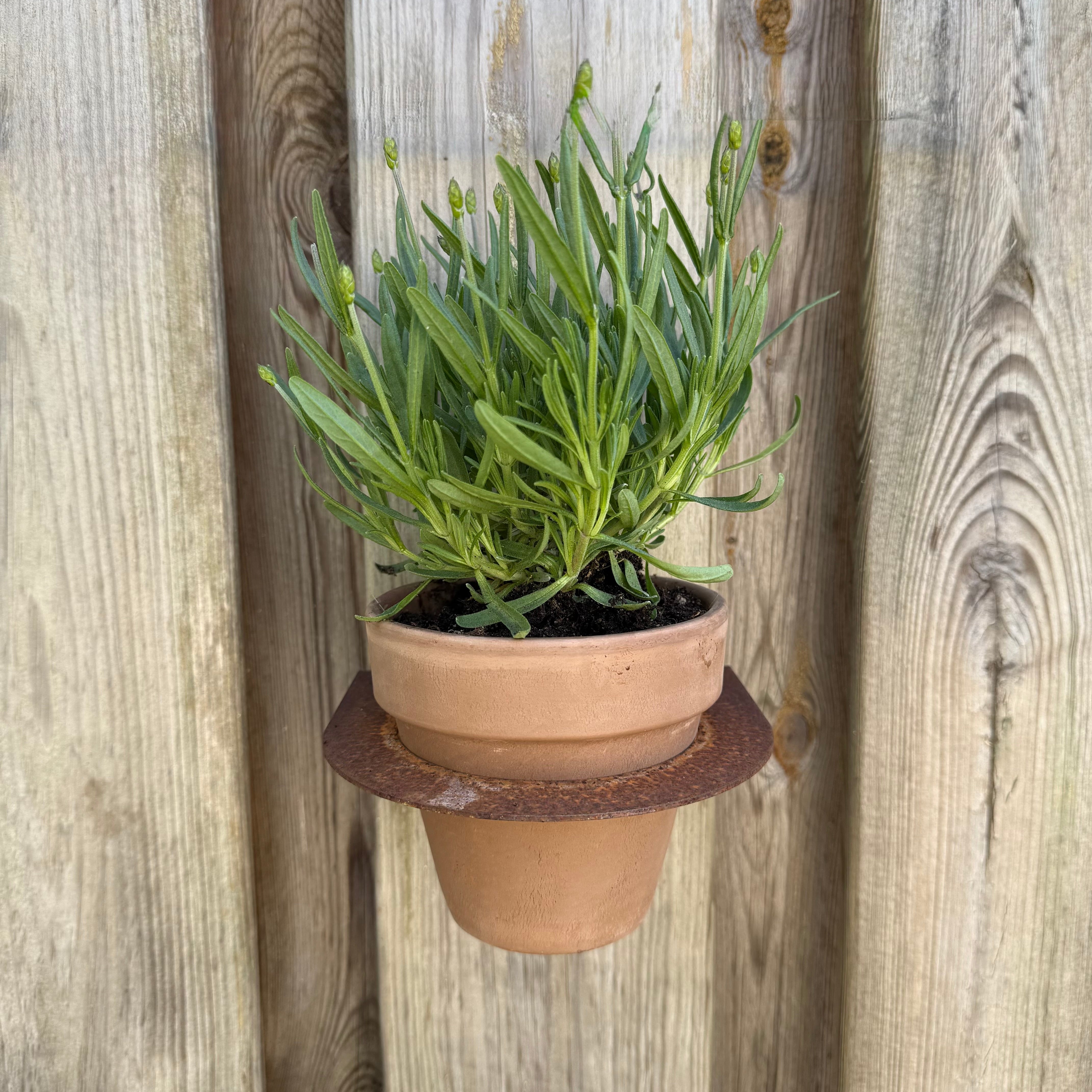 Bloempot MURO