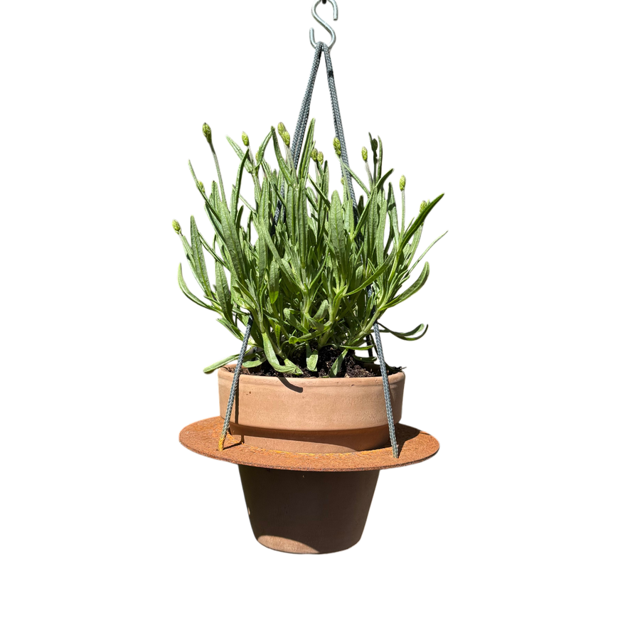 Tuincollectie