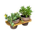 Bloempot ROOT