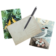 Carte de vœux CADEAU