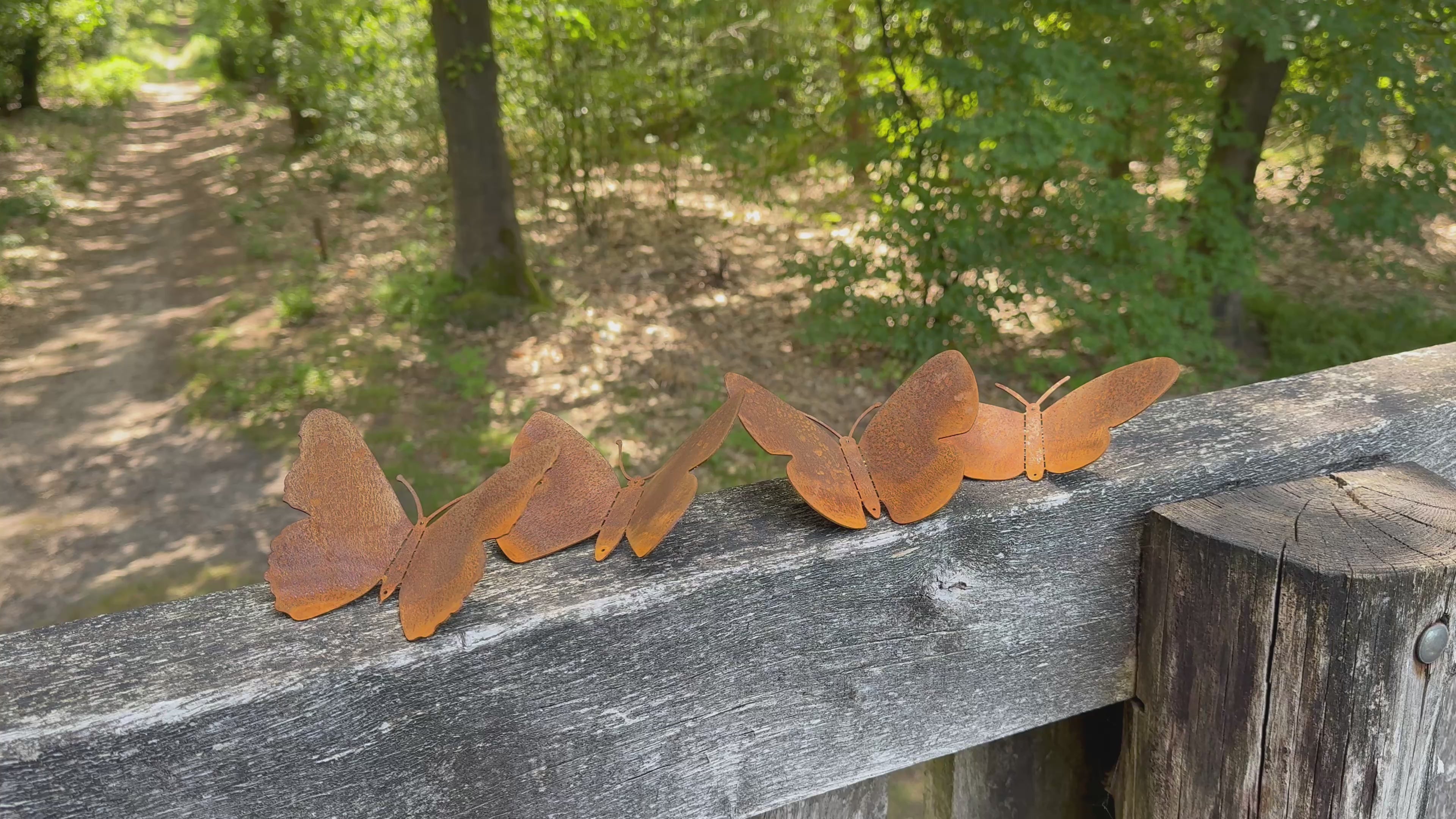 Tuinvorm BUTTERFLIES – set van 4 cortenstalen vlinders voor wandmontage